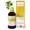 Pranarom-CALOPHYLLE-HUILE-VEGETALE-50-ml