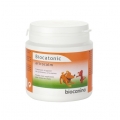 Biocanina-ARTROCALM-Poudre-orale-90-gr